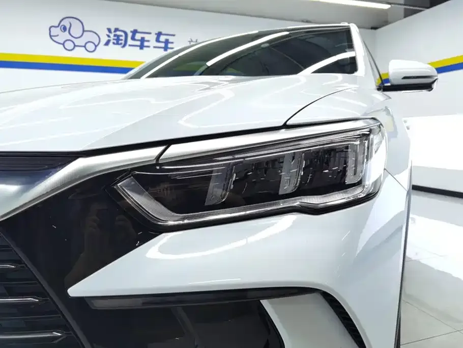 BYD Pro New Energy — фото 2