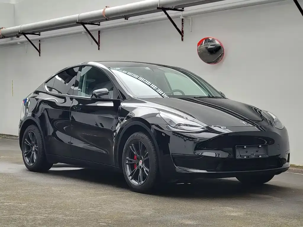 Tesla Model Y — фото 9