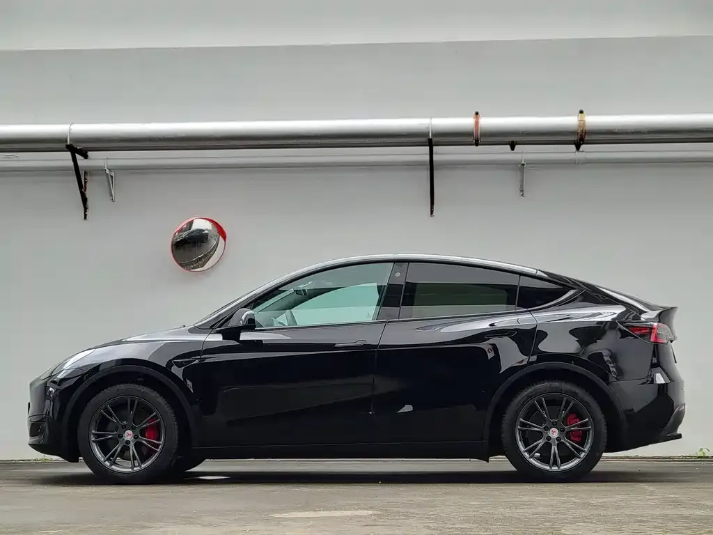 Tesla Model Y — фото 2