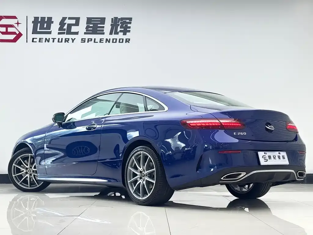 Mercedes-Benz E-Class (Import) — фото 10