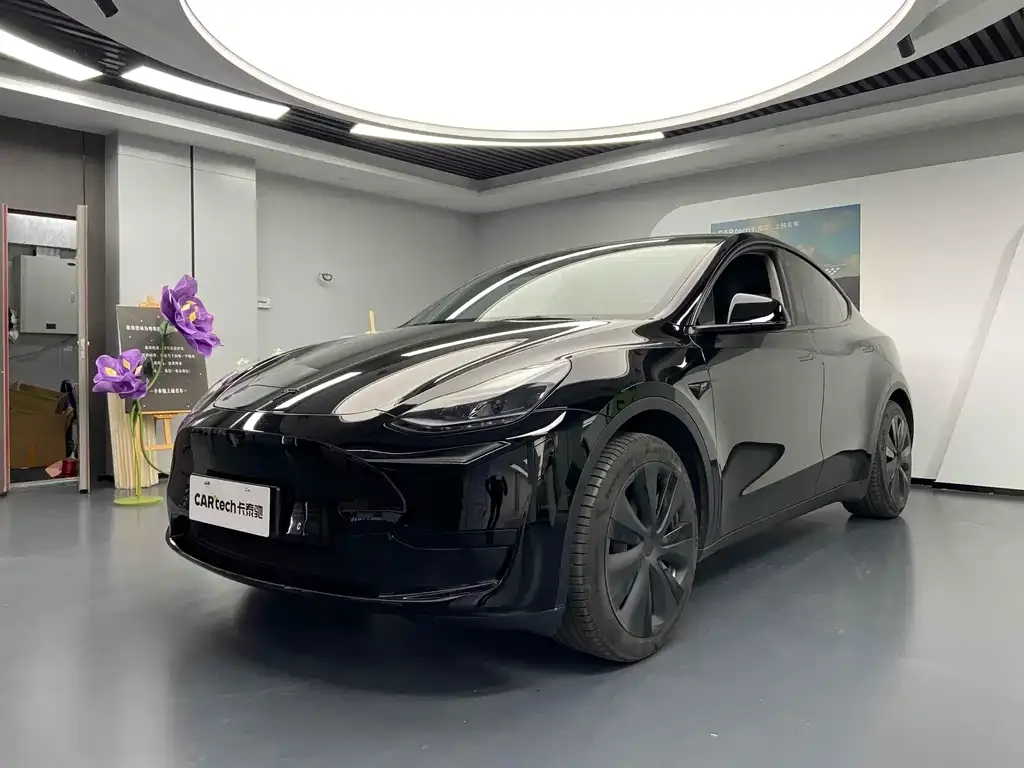 Tesla Model Y — фото 1