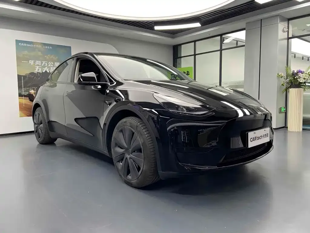Tesla Model Y — фото 5