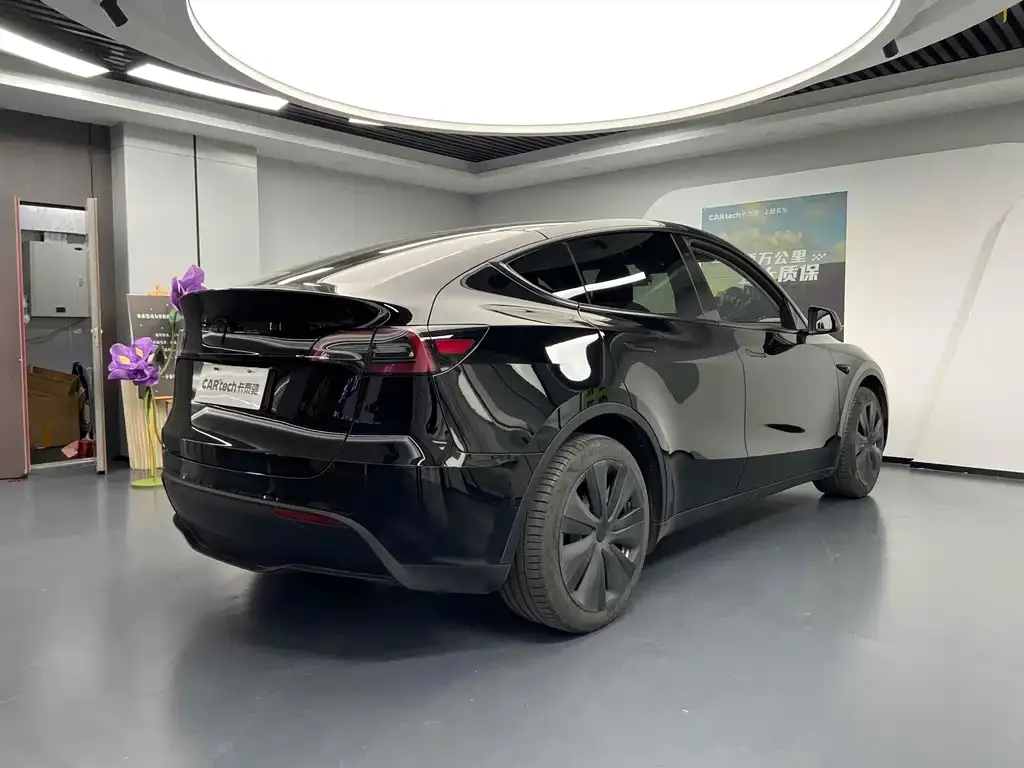 Tesla Model Y — фото 9