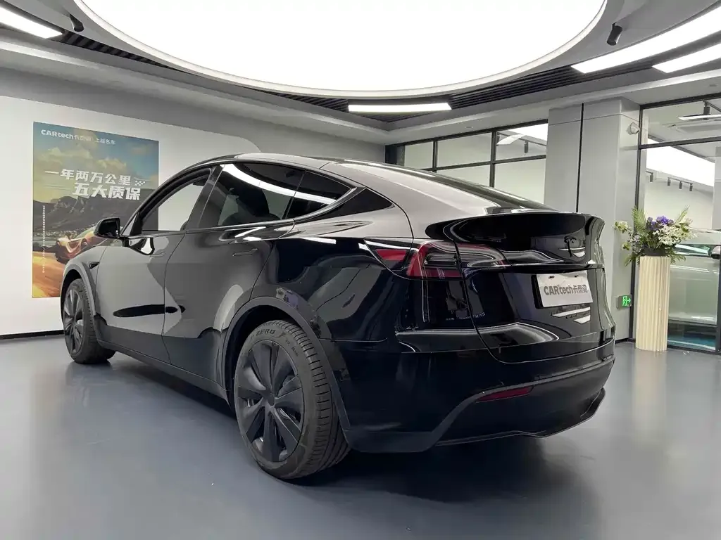 Tesla Model Y — фото 10