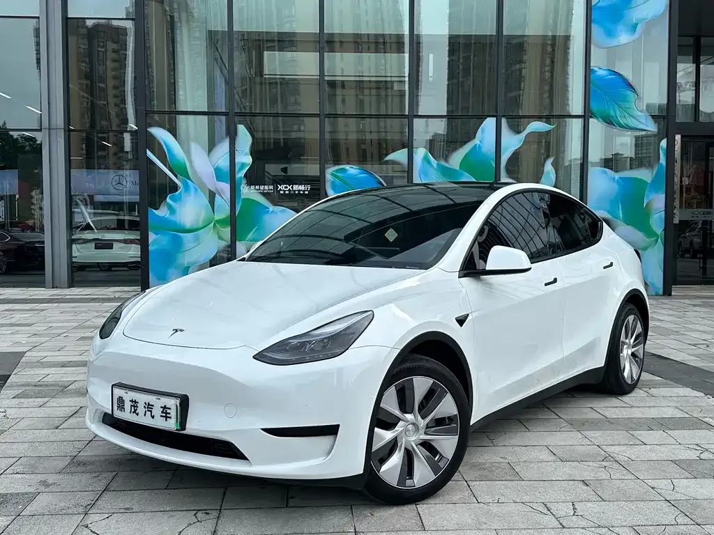 Tesla Model Y — фото 1