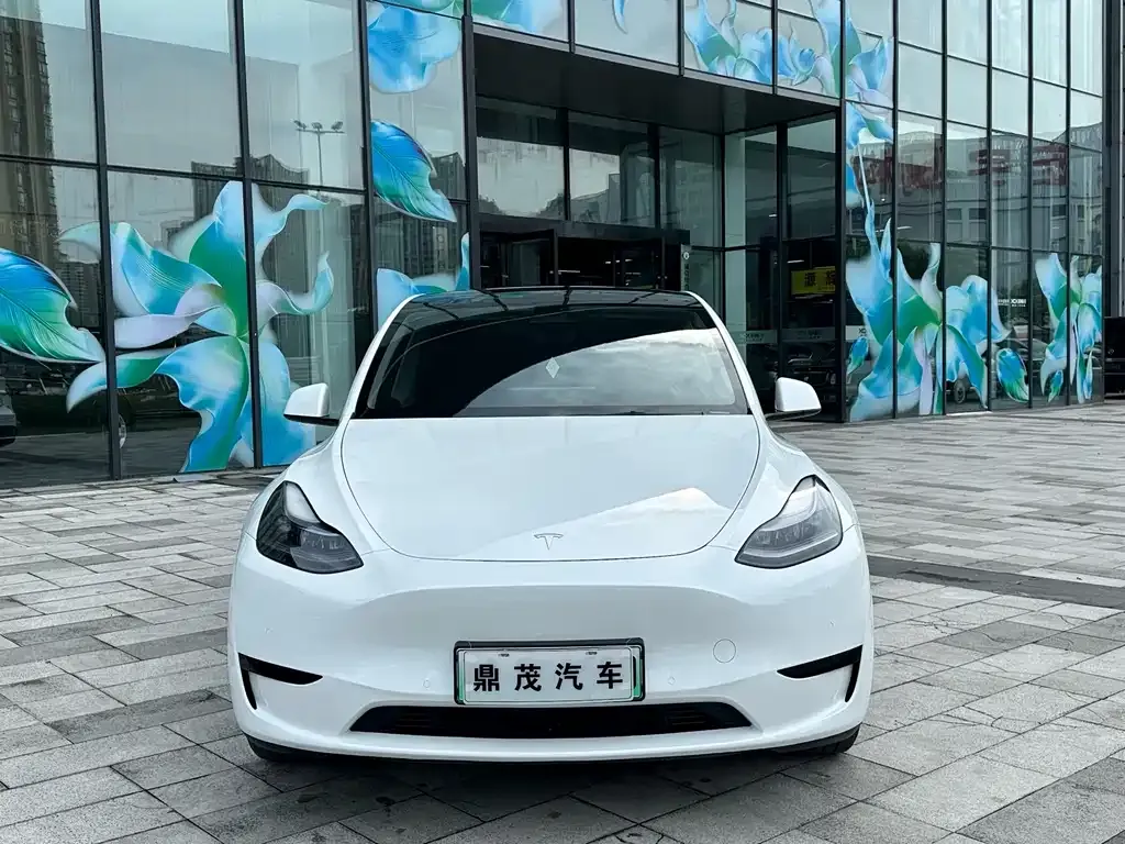 Tesla Model Y — фото 9