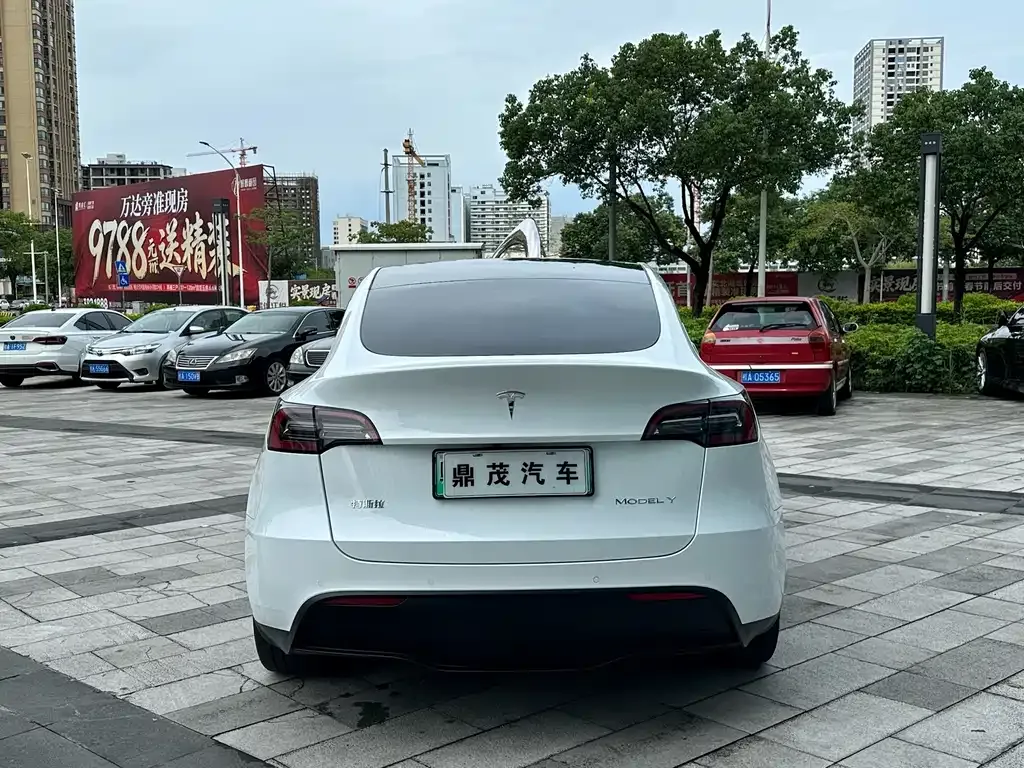 Tesla Model Y — фото 3