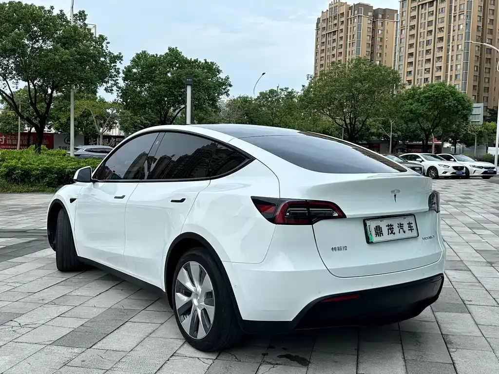 Tesla Model Y — фото 10