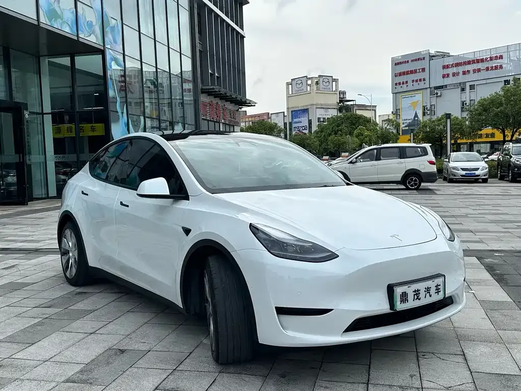 Tesla Model Y — фото 8