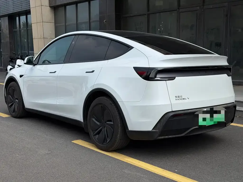 Tesla Model Y — фото 3