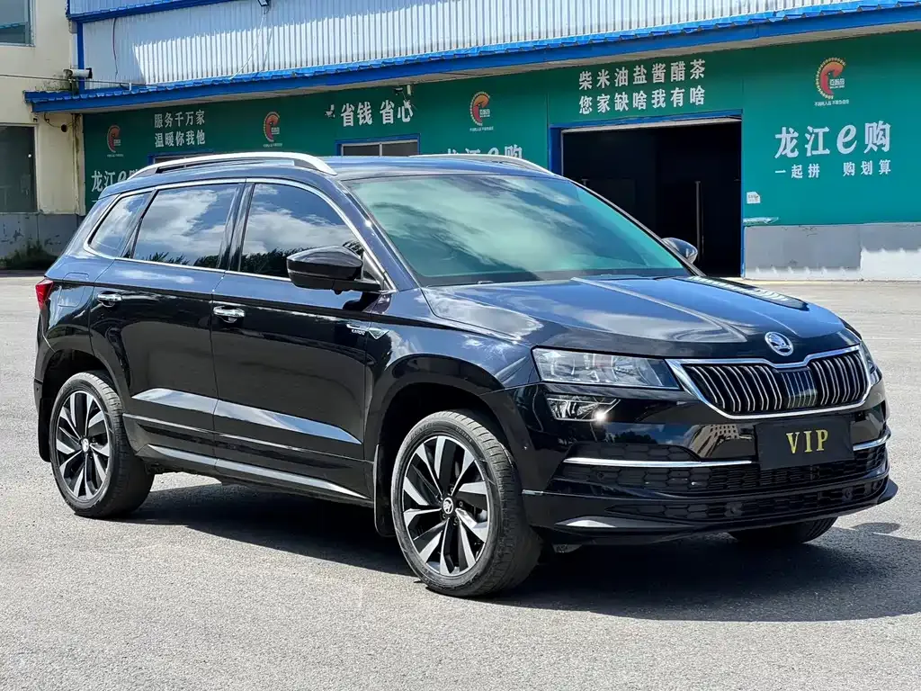 Skoda Karoq — фото 6