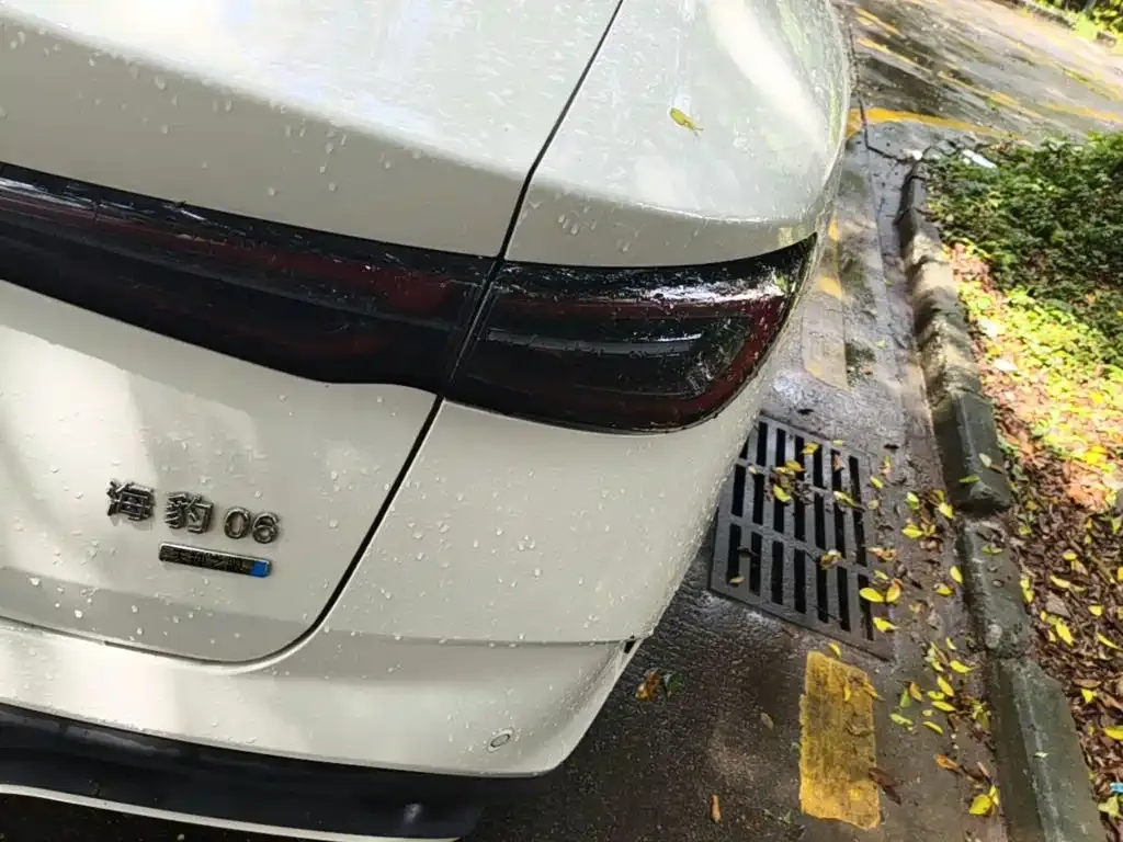 BYD Seal 06 — фото 9