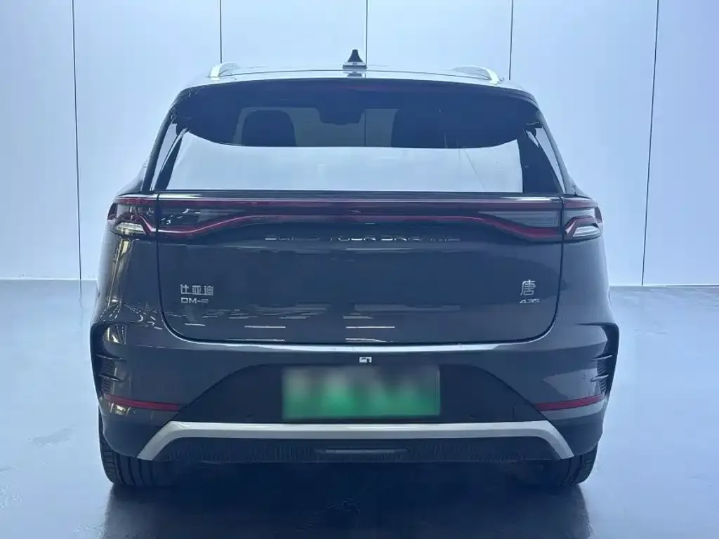 BYD Tang New Energy — фото 2