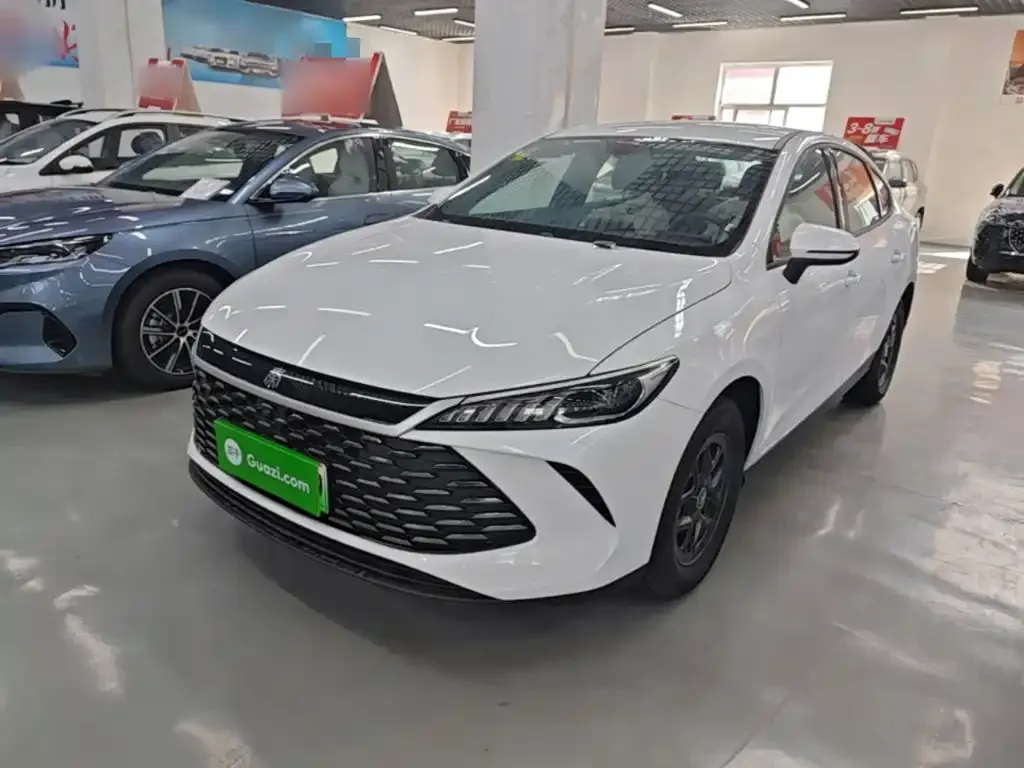 BYD Qin PLUS — фото 3