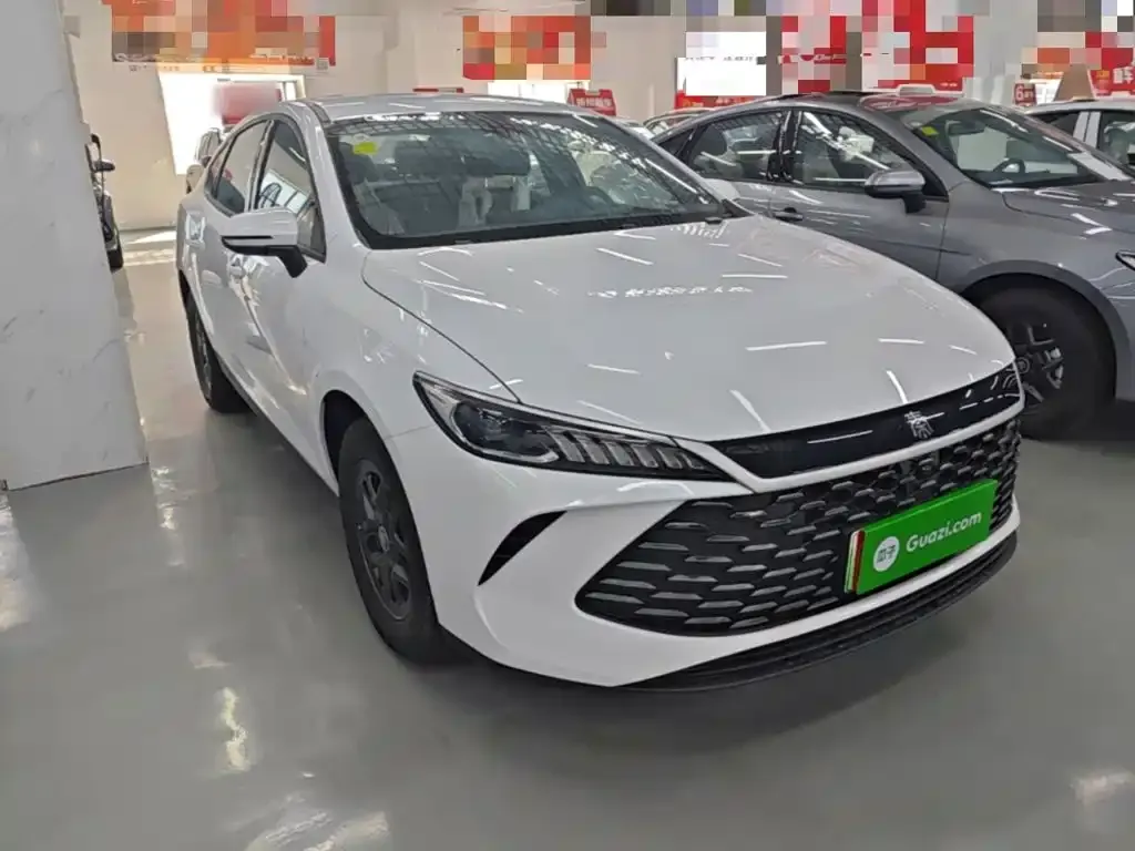 BYD Qin PLUS — фото 8