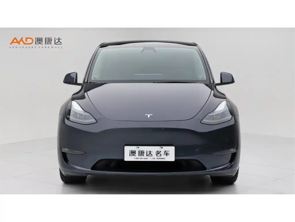 Tesla Model Y — фото 8