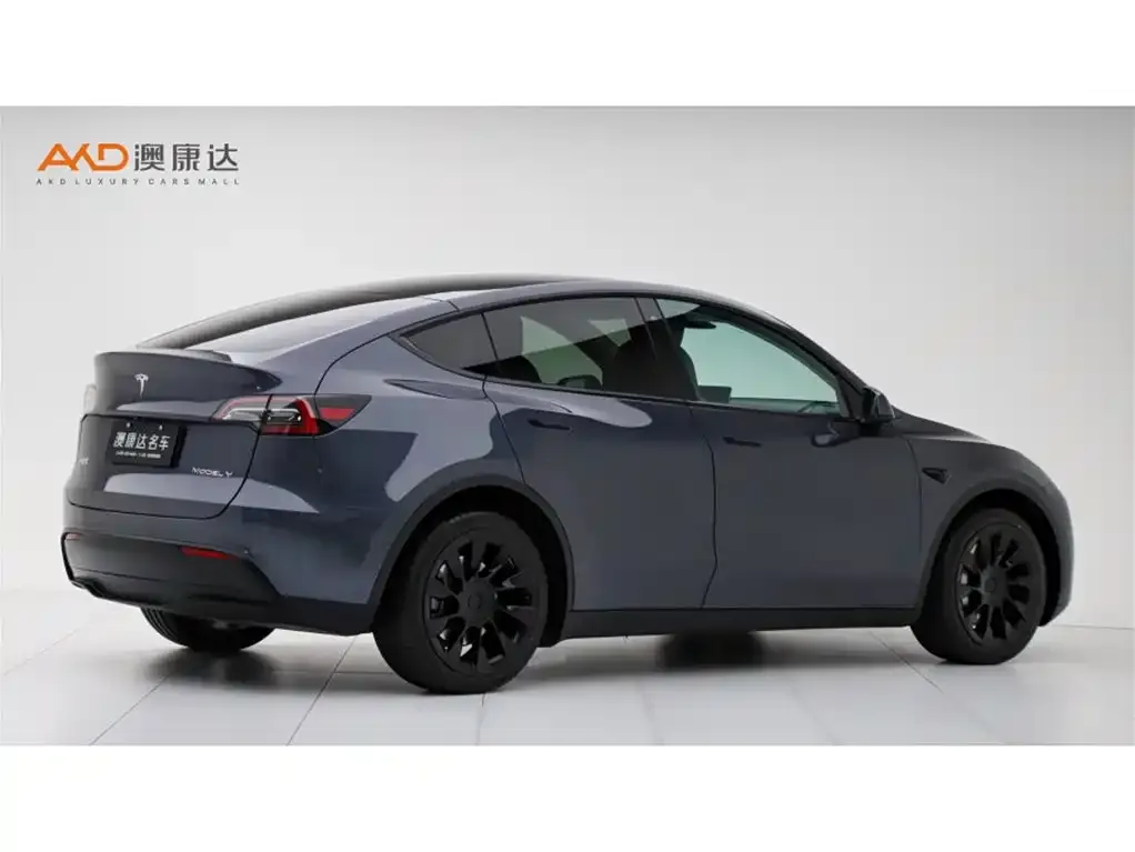 Tesla Model Y — фото 10