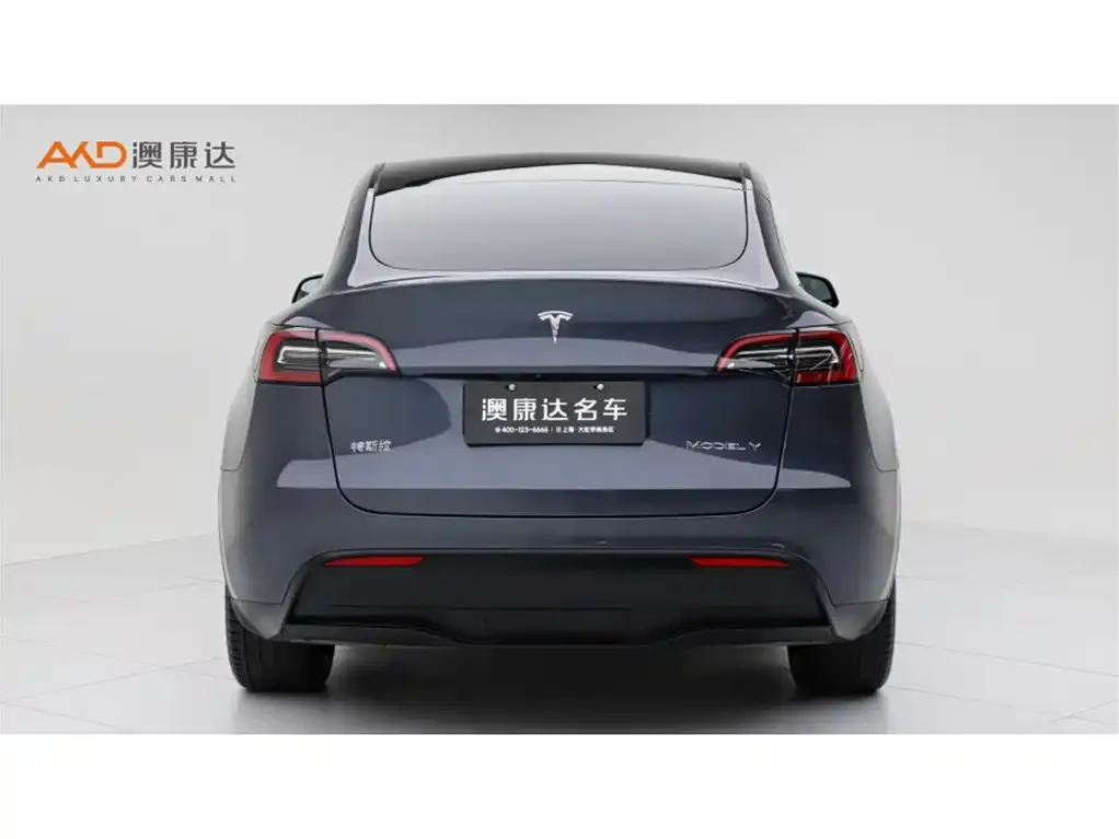 Tesla Model Y — фото 2