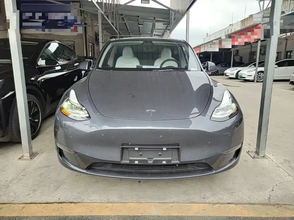 Tesla Model Y — фото 3