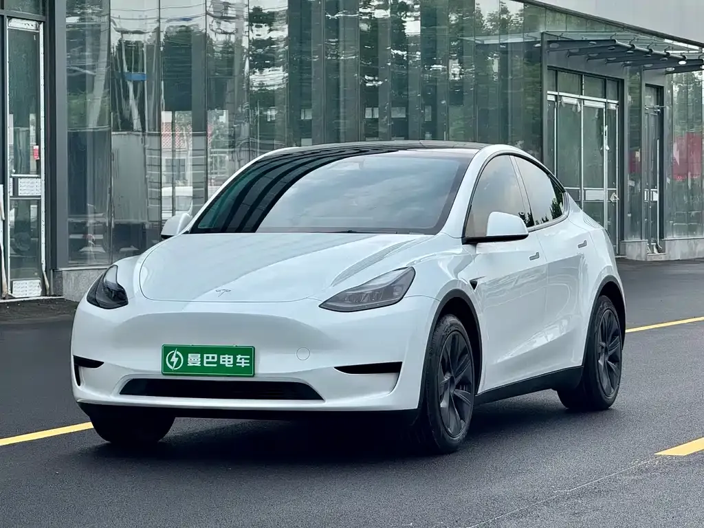 Tesla Model Y — фото 1