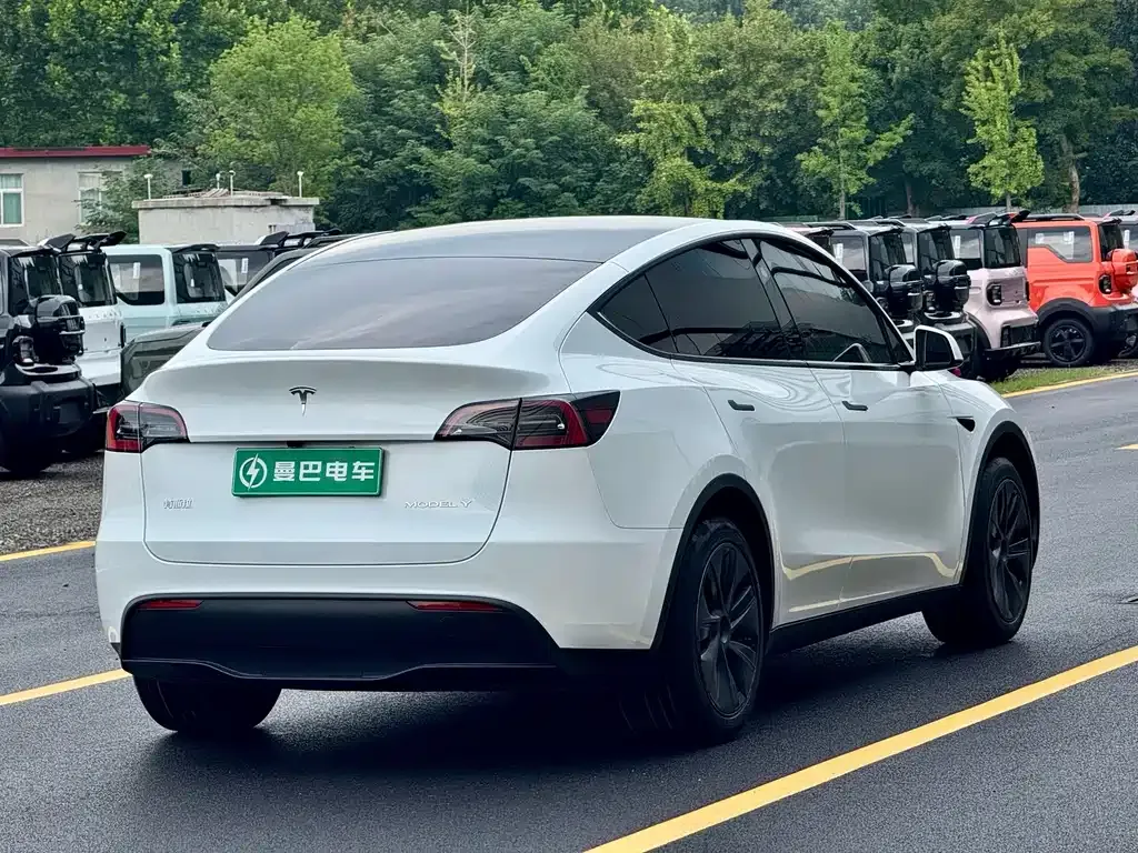 Tesla Model Y — фото 9