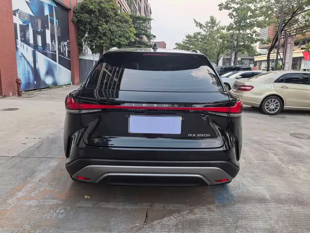 Lexus RX — фото 10
