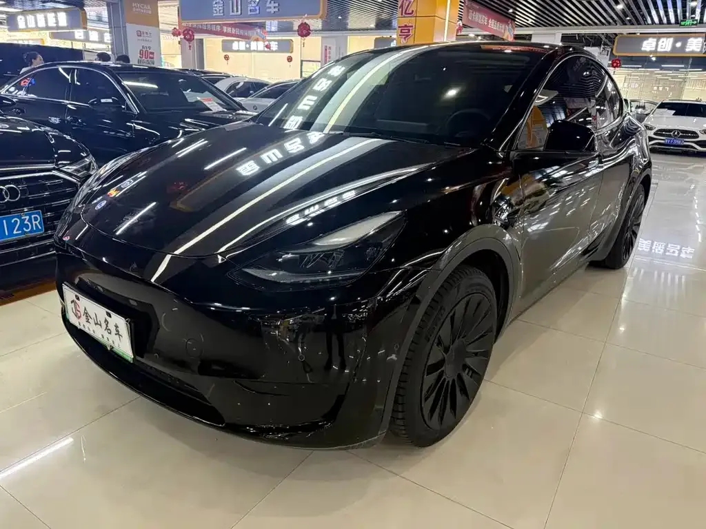 Tesla Model Y — фото 1