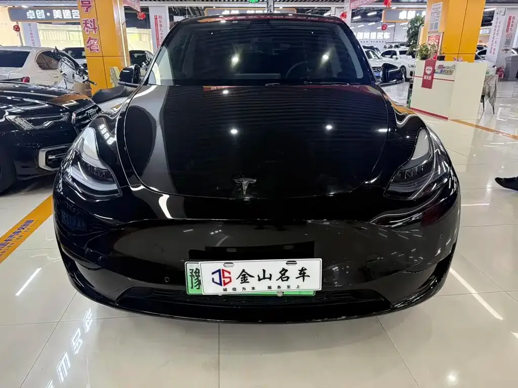 Tesla Model Y — фото 9
