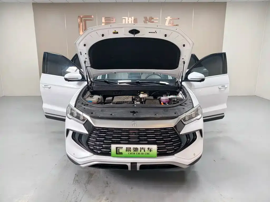 BYD Pro New Energy — фото 8