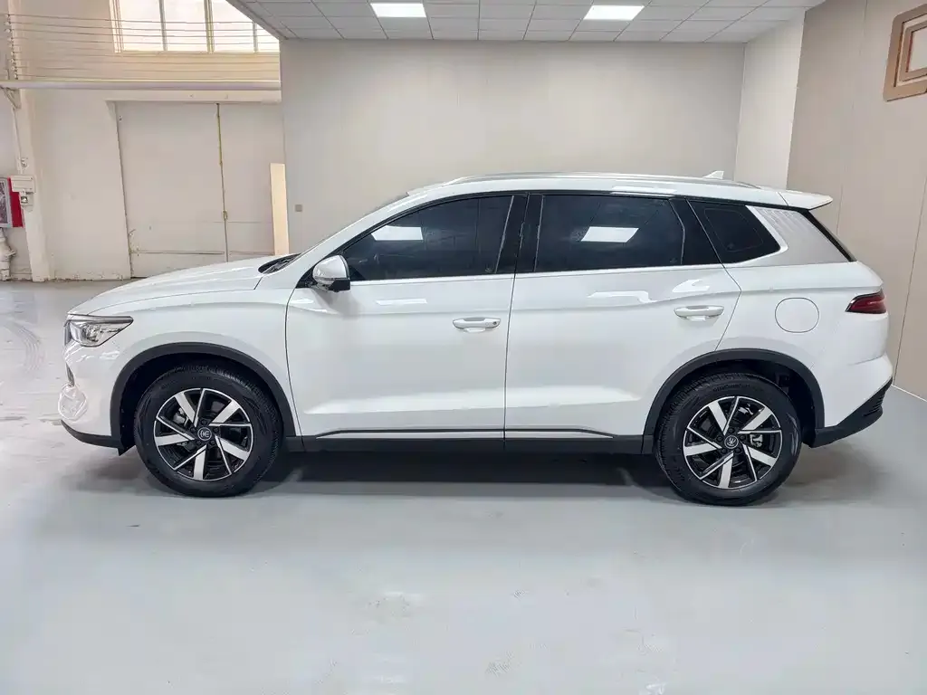 BYD Pro New Energy — фото 3