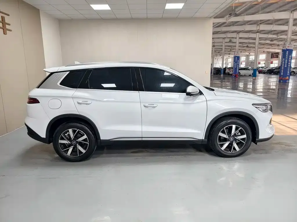 BYD Pro New Energy — фото 9