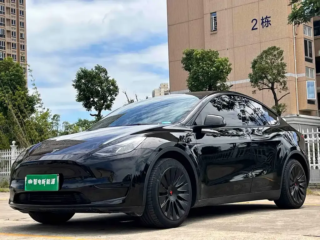 Tesla Model Y — фото 1