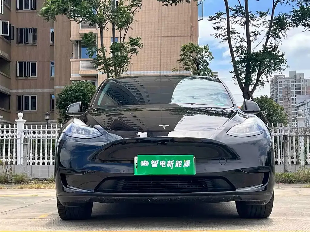 Tesla Model Y — фото 10