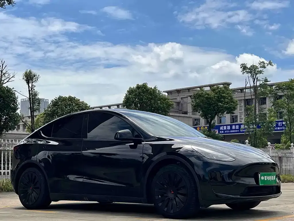 Tesla Model Y — фото 2