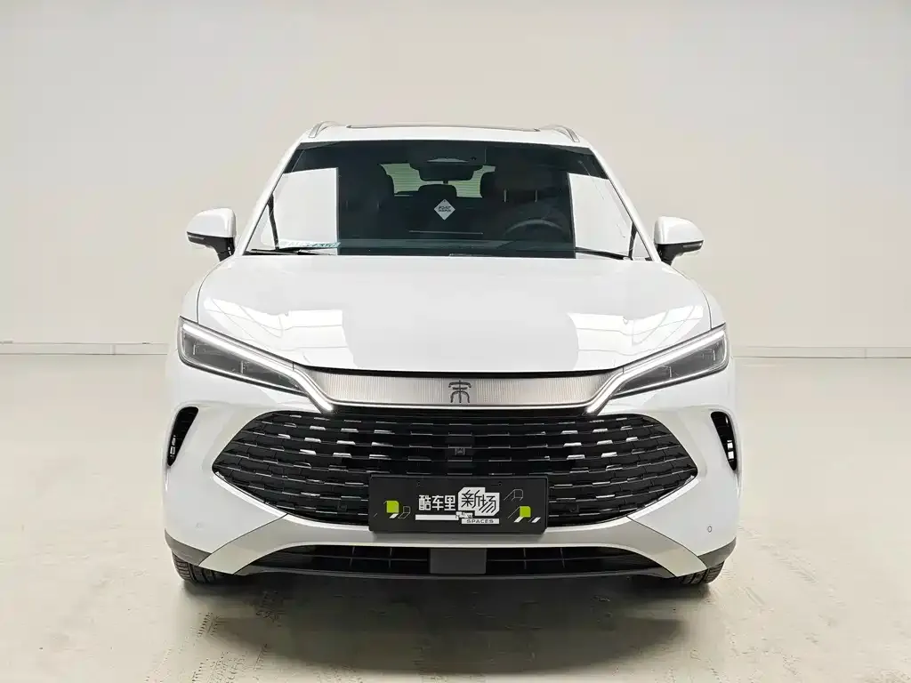 BYD L DM-i — фото 4