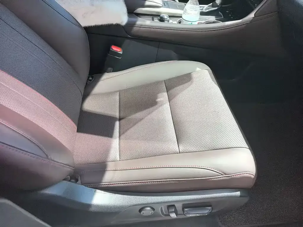 Lexus RX — фото 9