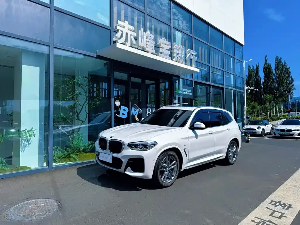 BMW X3 — фото 1