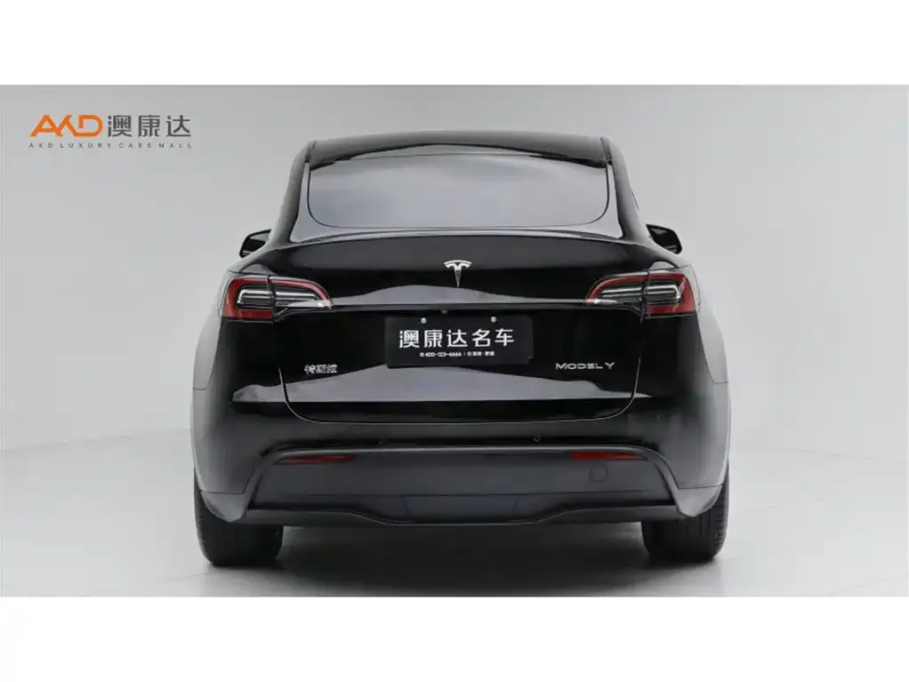 Tesla Model Y — фото 3