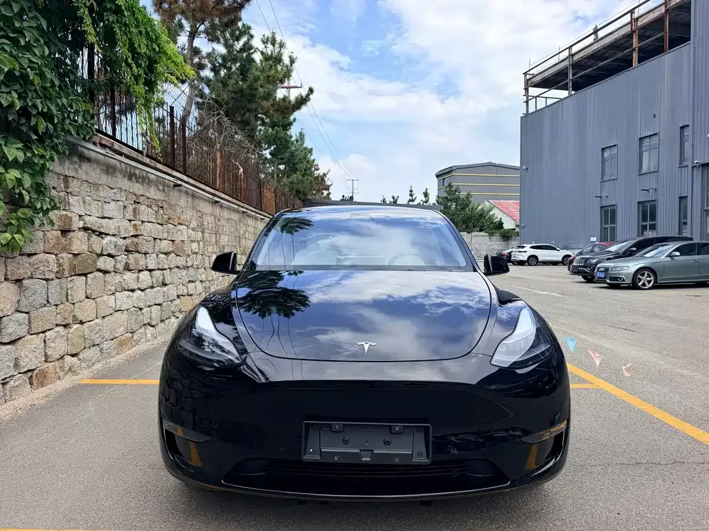 Tesla Model Y — фото 7