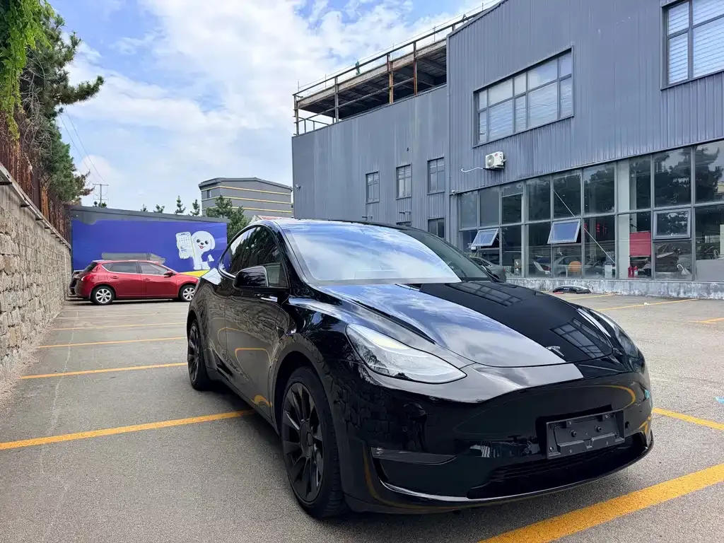 Tesla Model Y — фото 8
