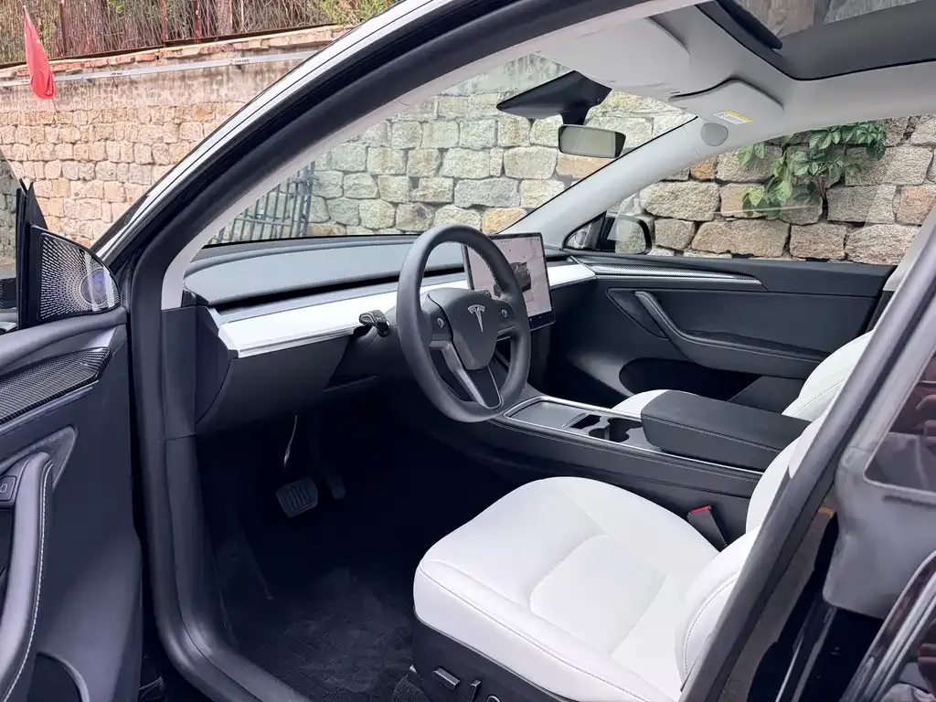 Tesla Model Y — фото 2