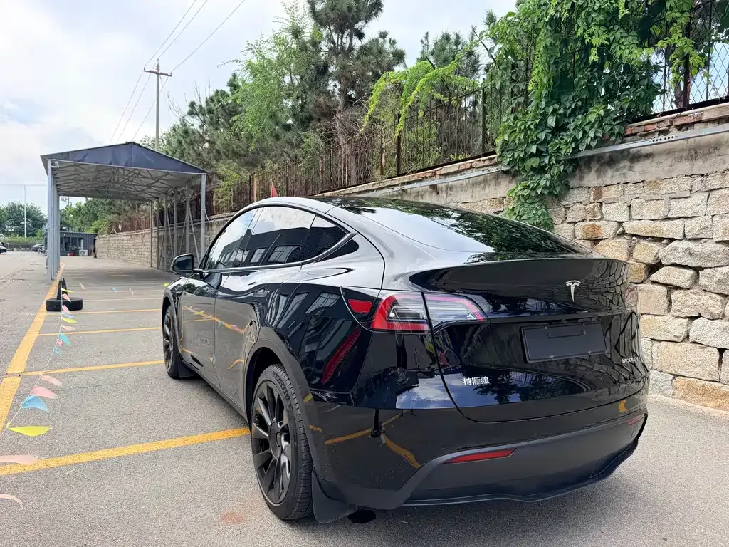 Tesla Model Y — фото 9