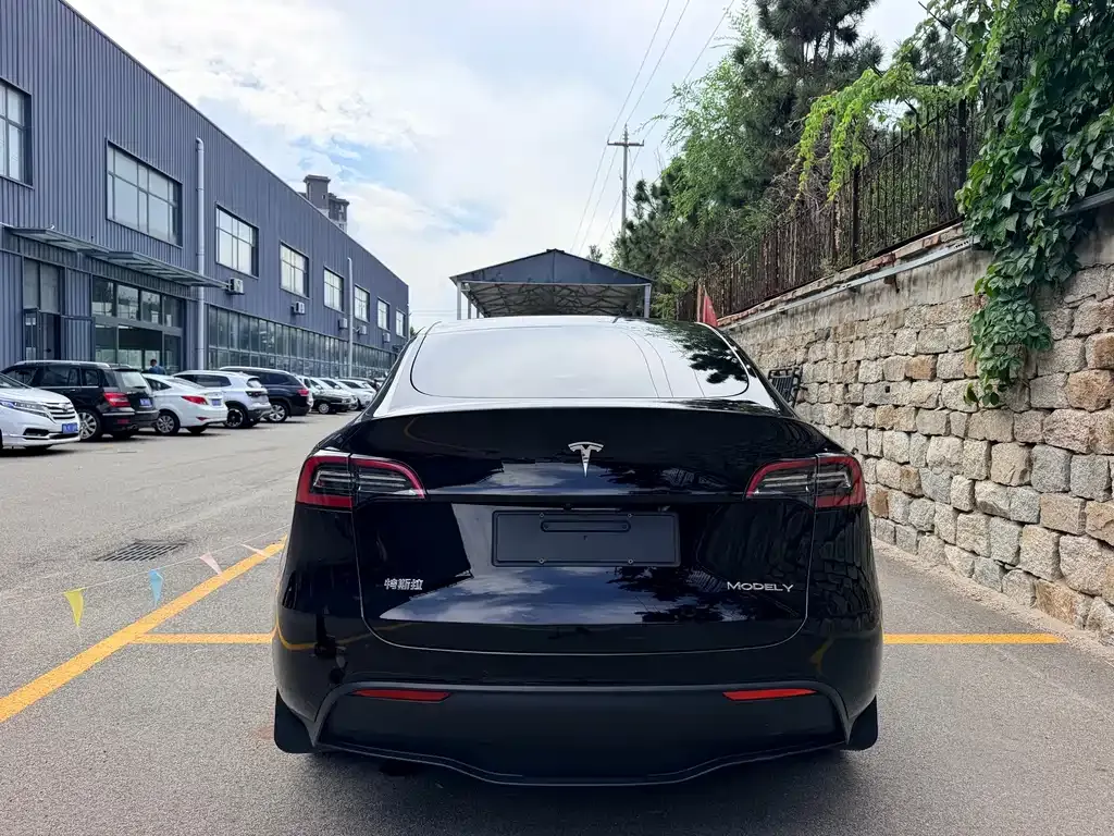 Tesla Model Y — фото 6