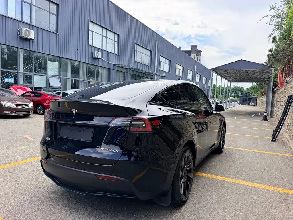 Tesla Model Y — фото 5