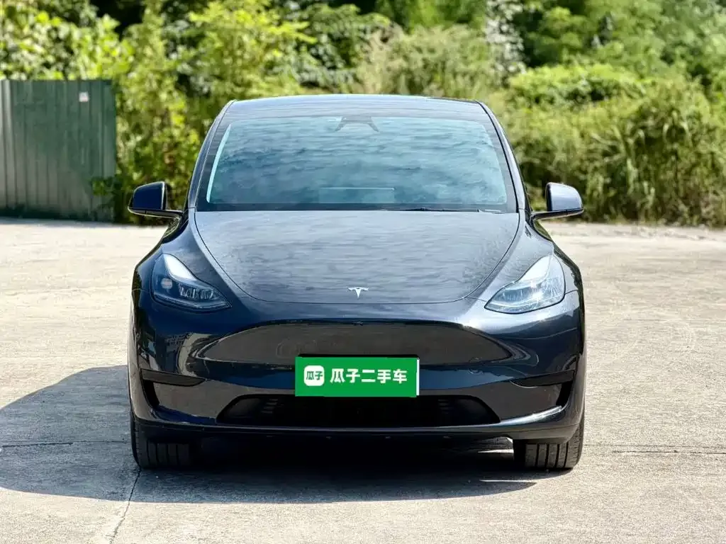 Tesla Model Y — фото 5