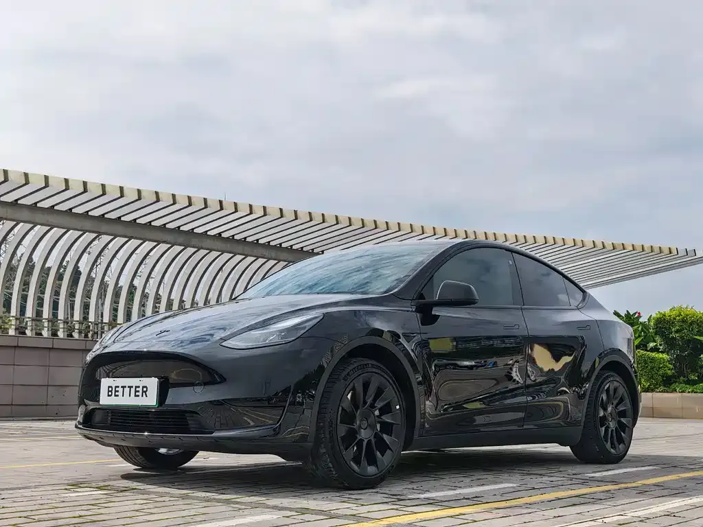 Tesla Model Y — фото 9
