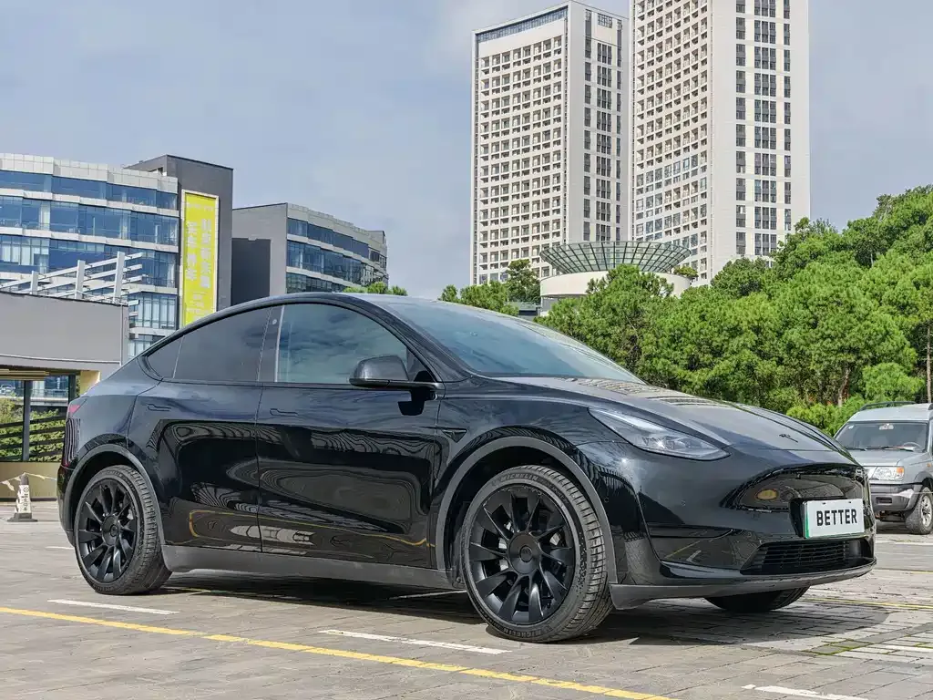 Tesla Model Y — фото 4