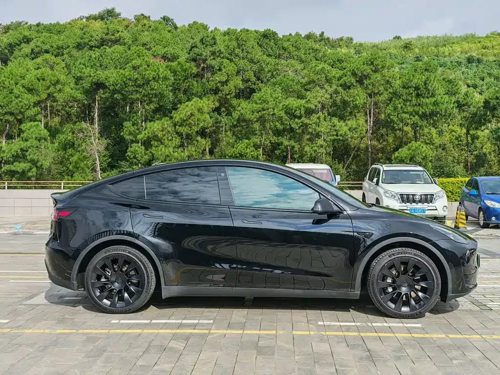 Tesla Model Y — фото 10