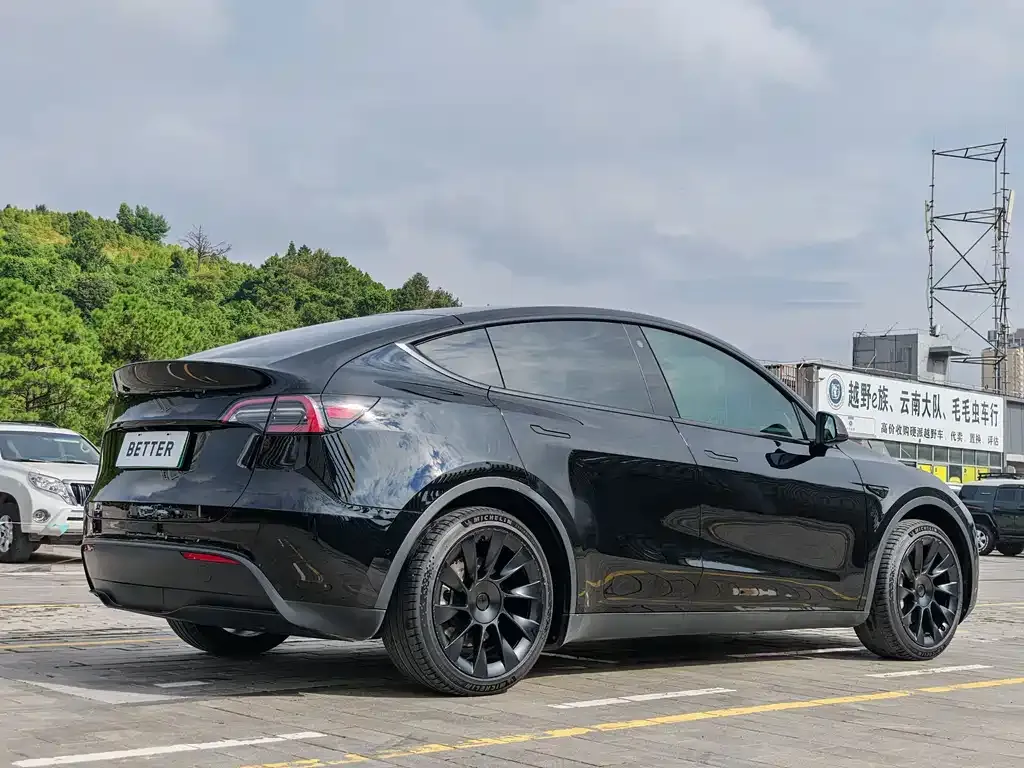 Tesla Model Y — фото 2