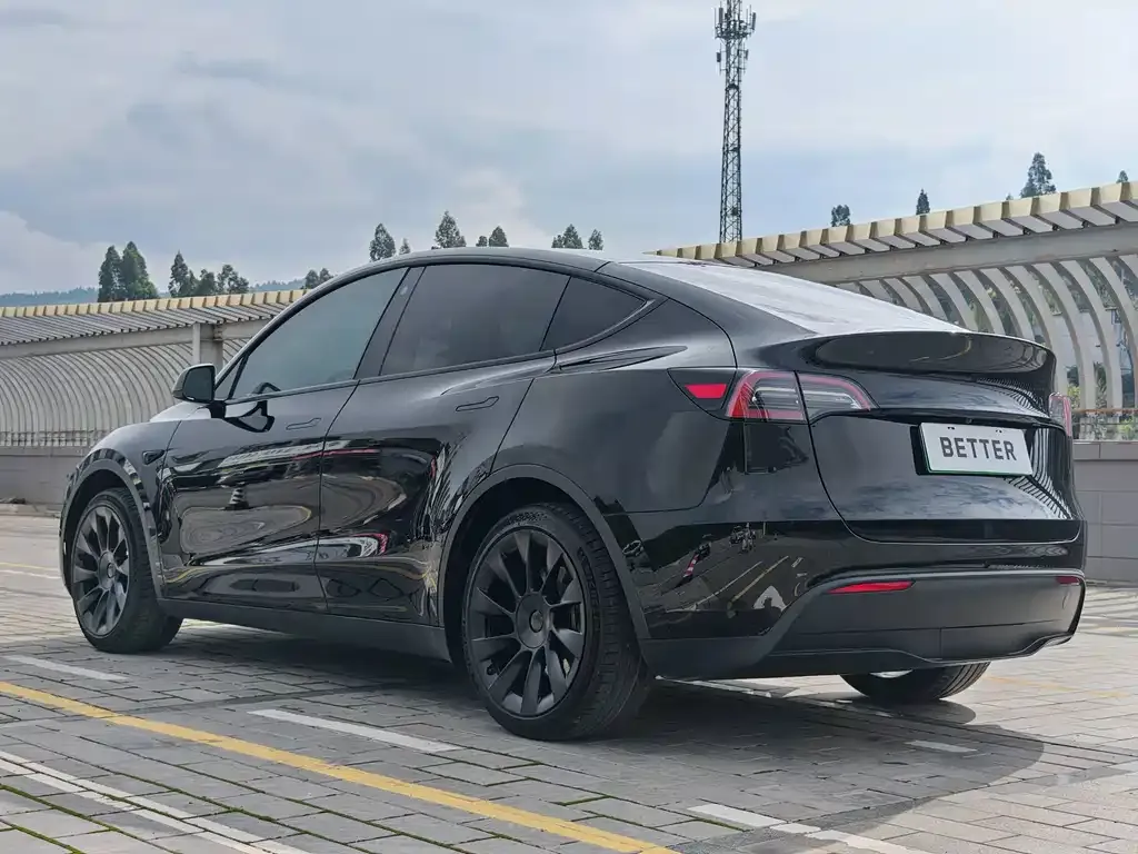 Tesla Model Y — фото 6